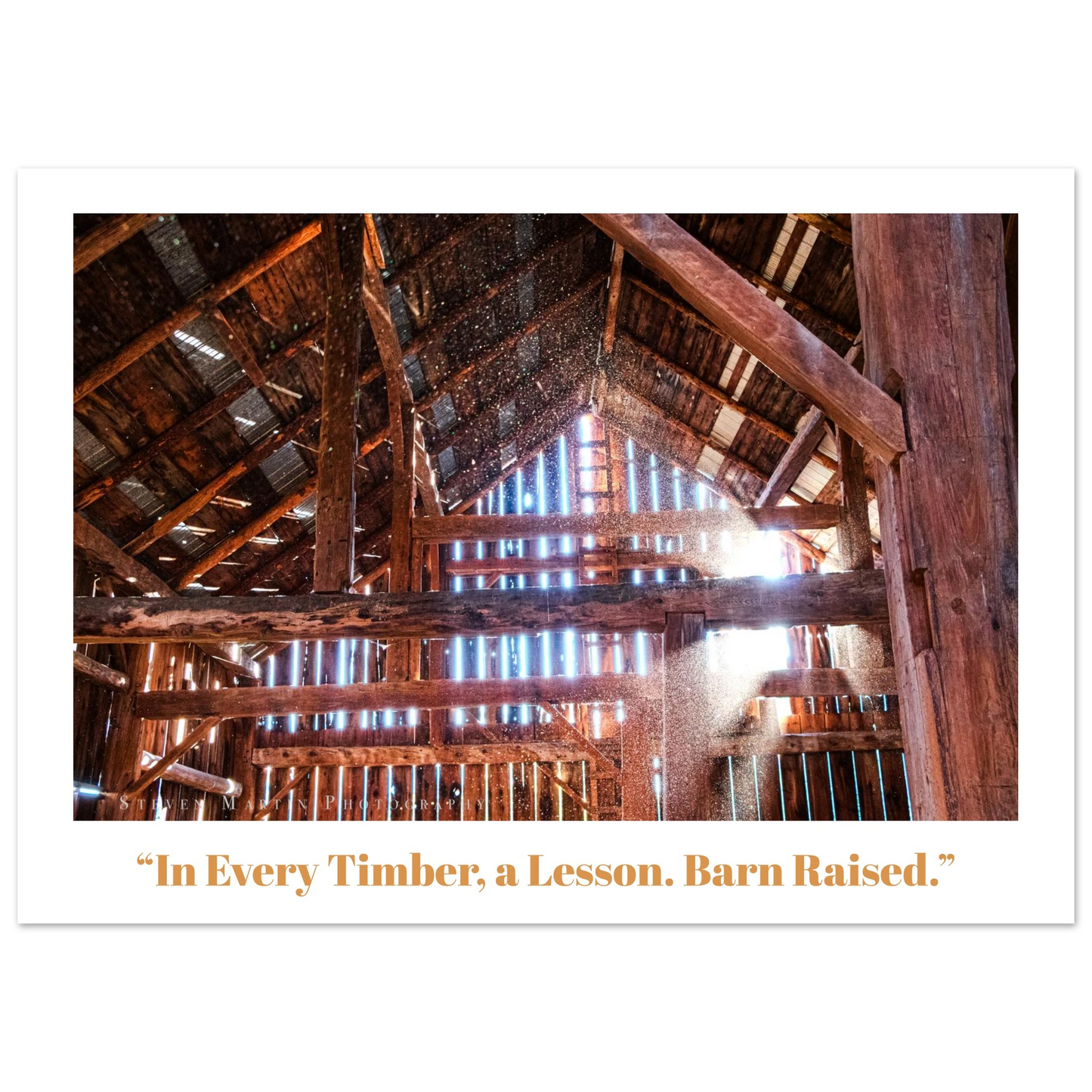 ad1bcf75-47ec-4366-8619-361131374508