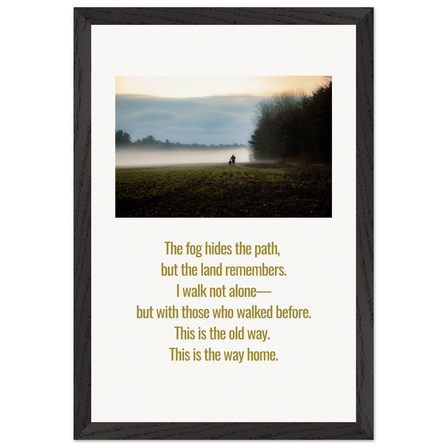 1c500e6b-bce7-4fb1-9654-22c17ec3e0be