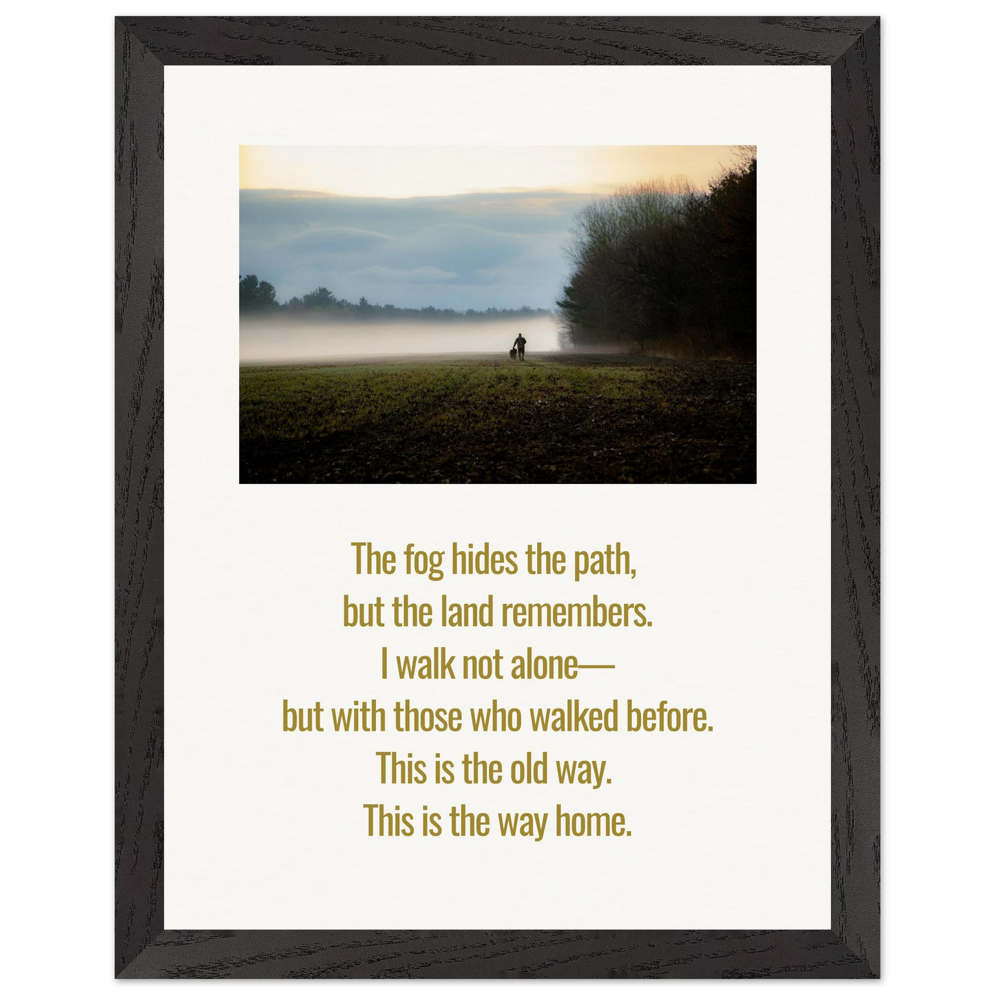 264c04fb-98b5-4246-8372-b2ab05676595