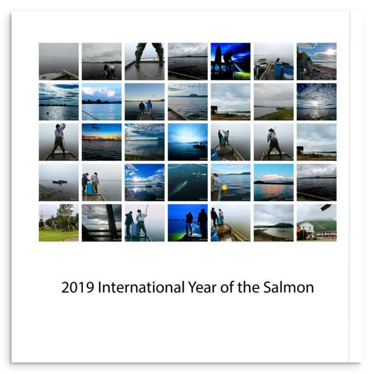 273a79a7-dc78-47fd-af29-07a261828c98