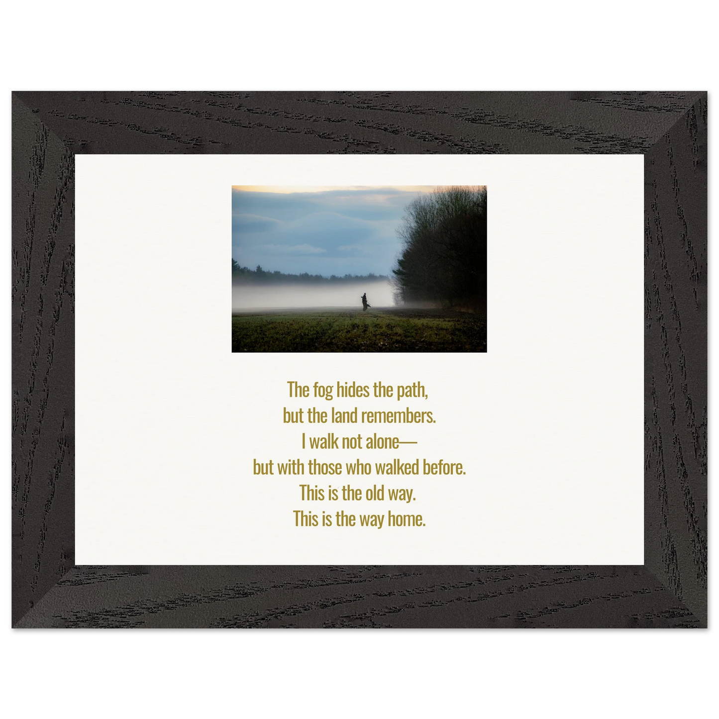 46b19642-eda0-4b50-9f2a-1fe849e3150f