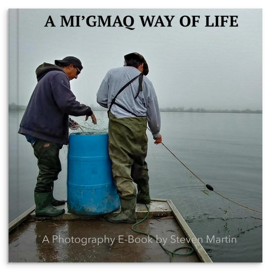 56fc95b2-599d-4b62-bb9e-5dd3fbdbd84d