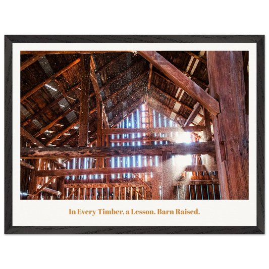 72a2b51c-9238-4979-afa0-5a124d8b8f3b