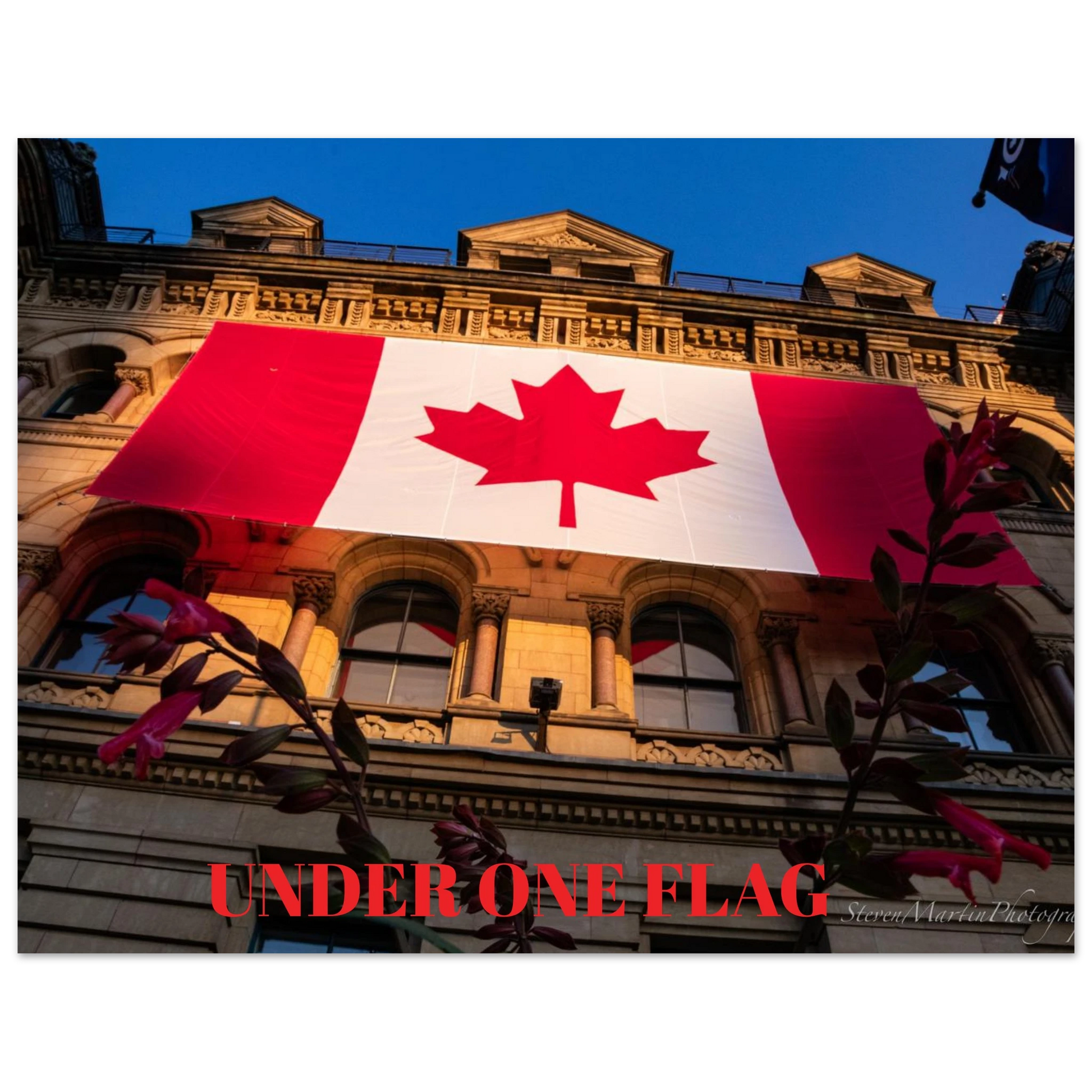 8bae9cb9-4e3b-4e9f-9ebb-fd173b43b64c