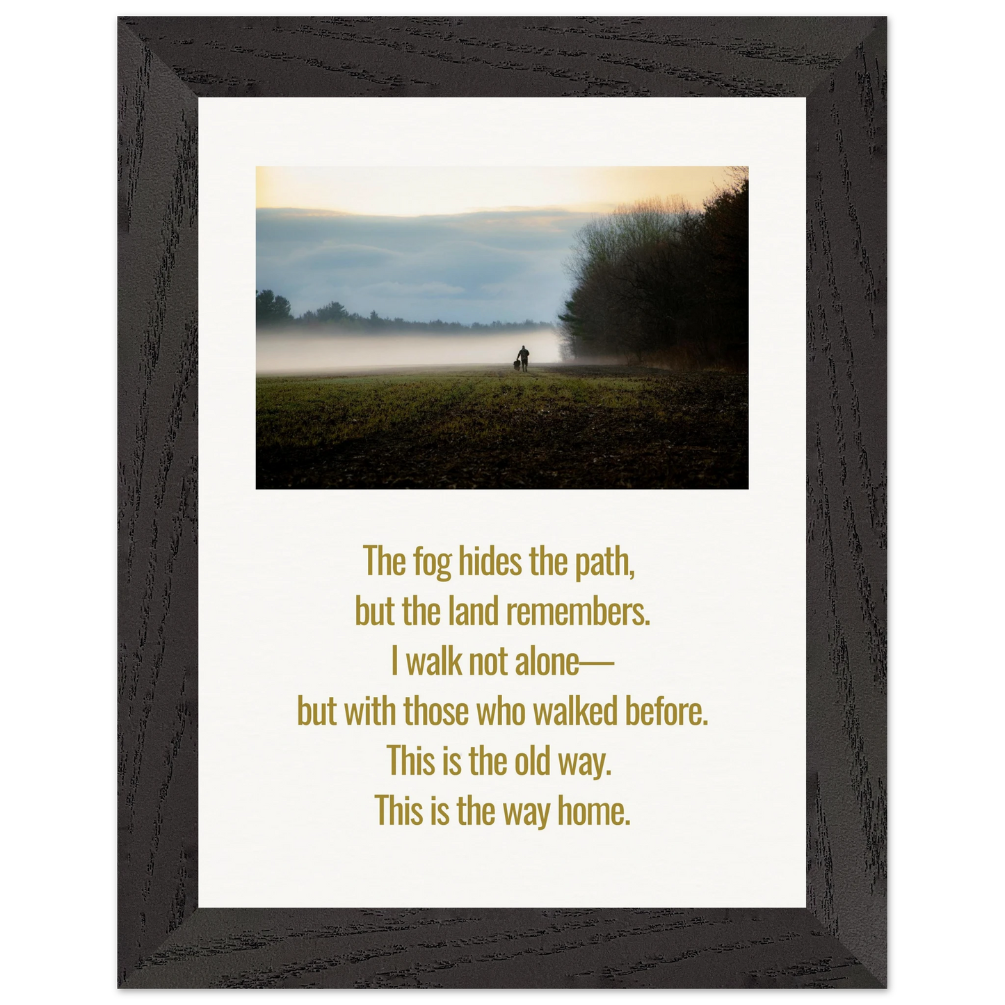 9514afe5-1b71-4f22-ae97-aab1f874fb67