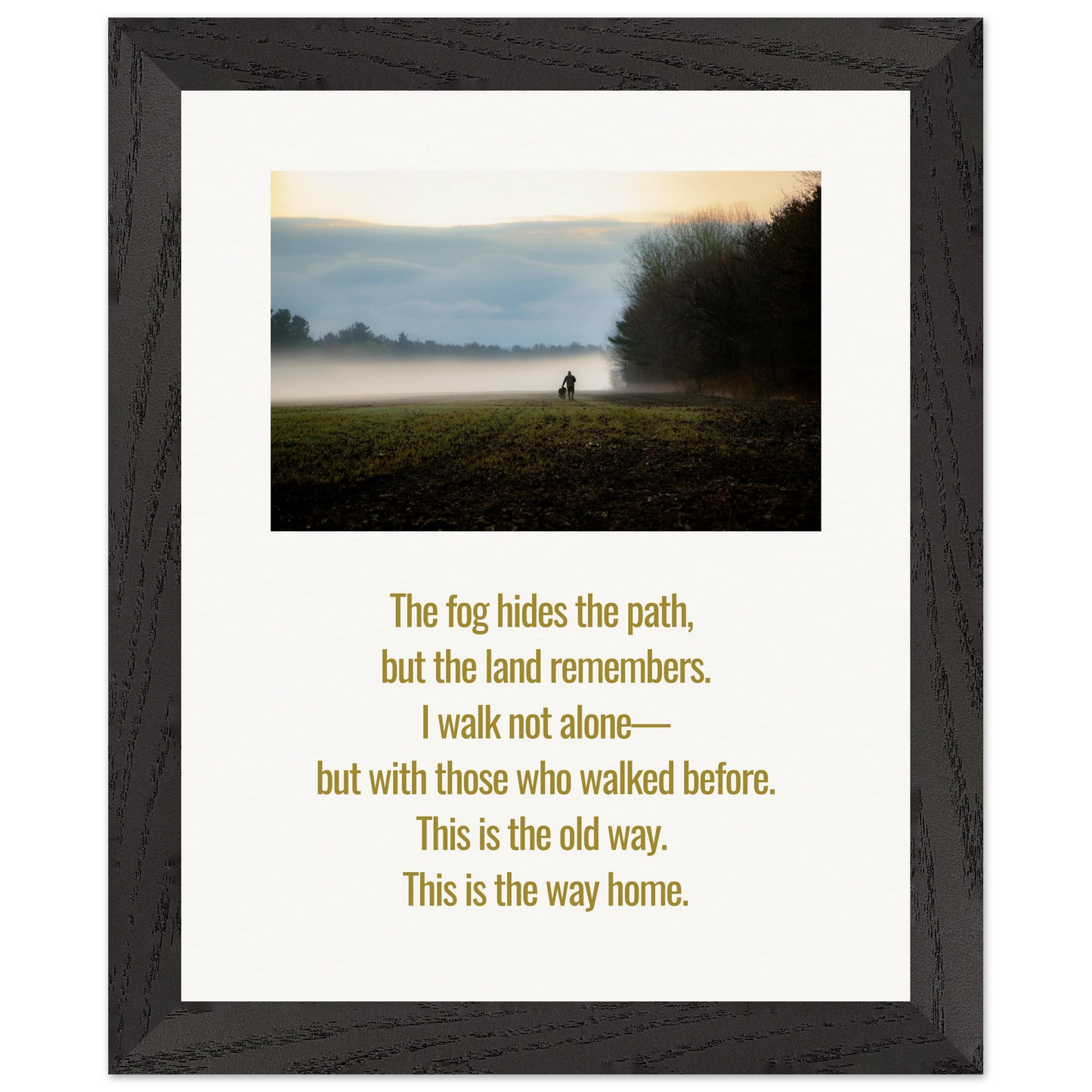 9c3bc76e-ddf9-4553-b80c-03cdc7dd6576