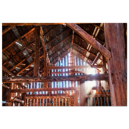 aae5ff56-98e0-4858-8f12-1dfb302ac950