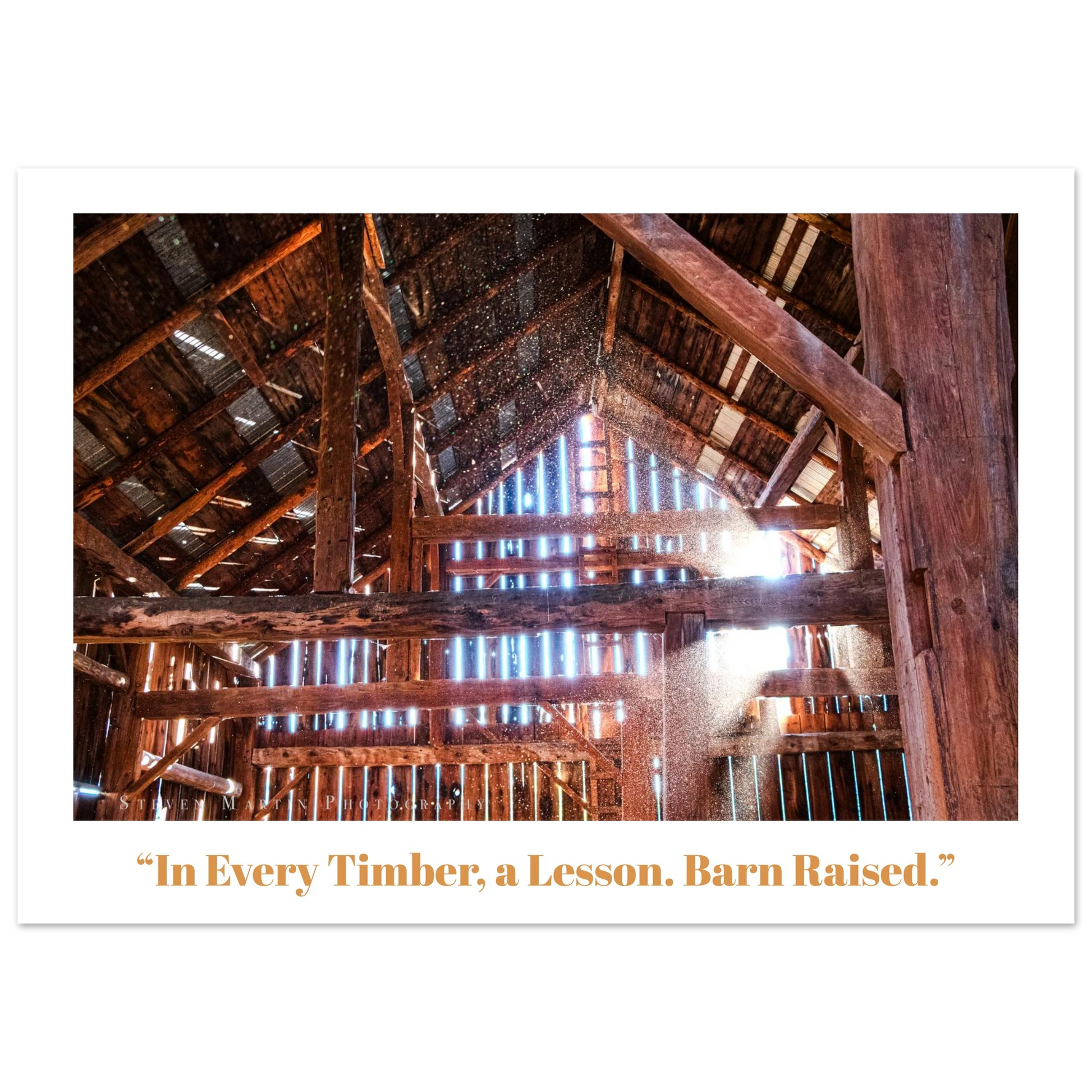 ad1bcf75-47ec-4366-8619-361131374508