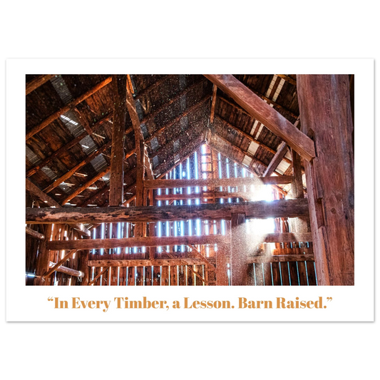 ad1bcf75-47ec-4366-8619-361131374508