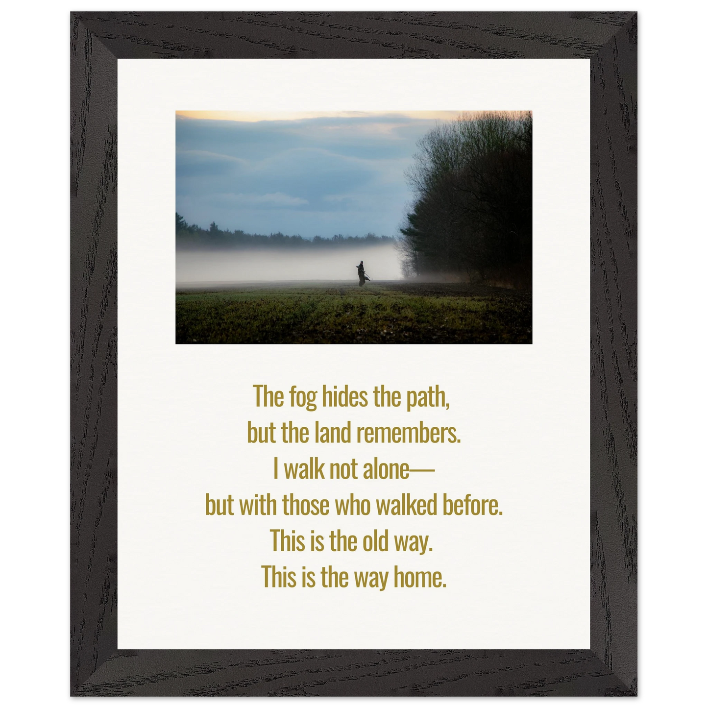 c0511693-58ee-46a3-957e-5e950b525efa