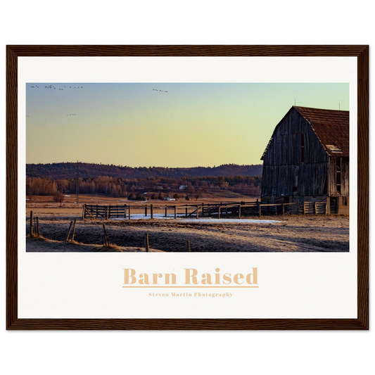 c1ee285c-467e-4236-968b-ef0e9f1fe744