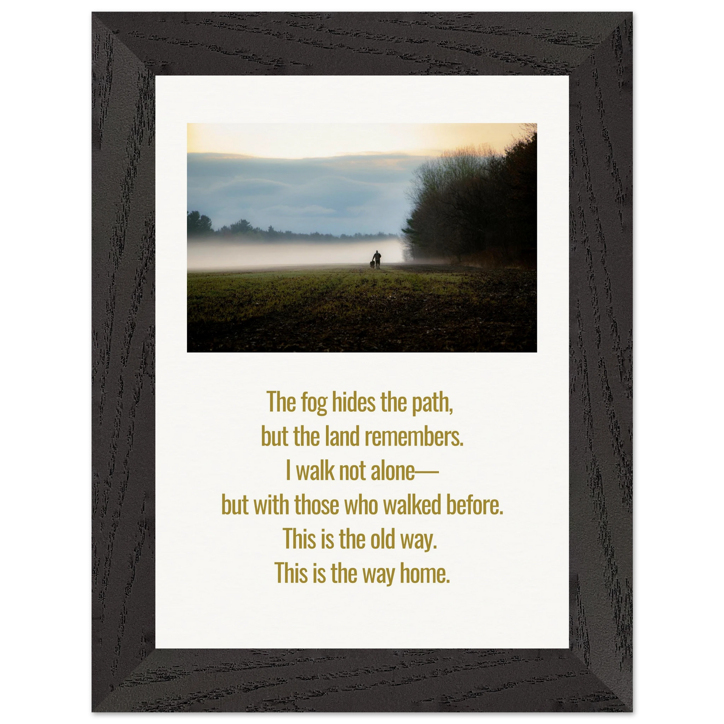 cd3f35c4-32b9-4cf8-ac67-6507ed6a23a9