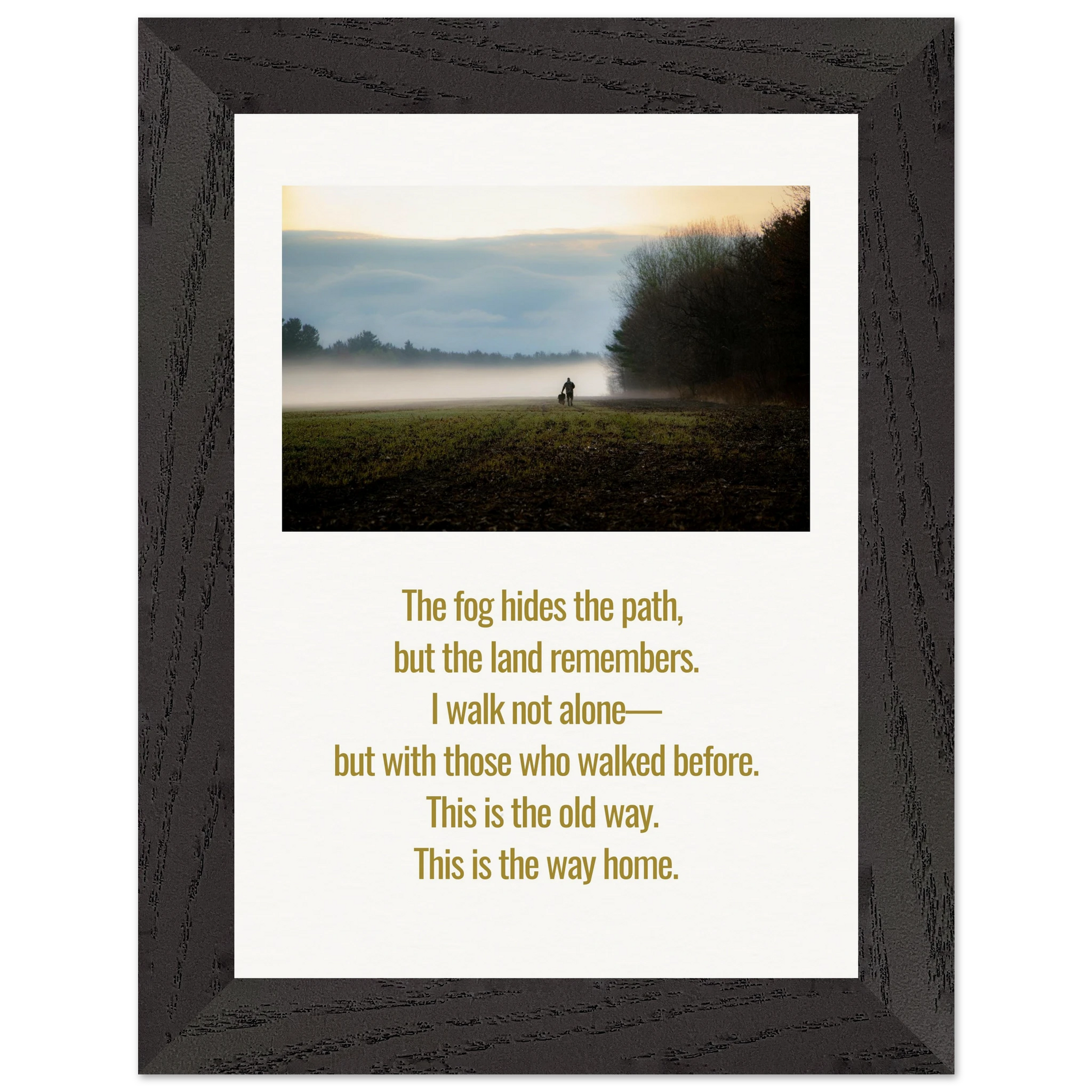 cd3f35c4-32b9-4cf8-ac67-6507ed6a23a9