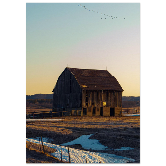 d320deac-209a-48cf-bbbe-3a5994c2f240