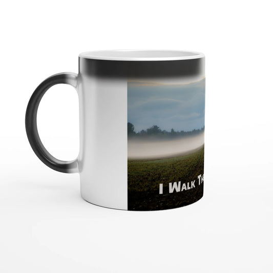 ee96c111-8b5b-410a-ba0e-7cdeb5ccabb8